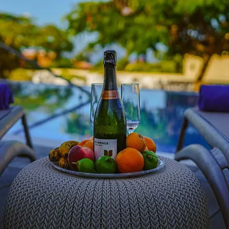 Luxury Paraiso *
